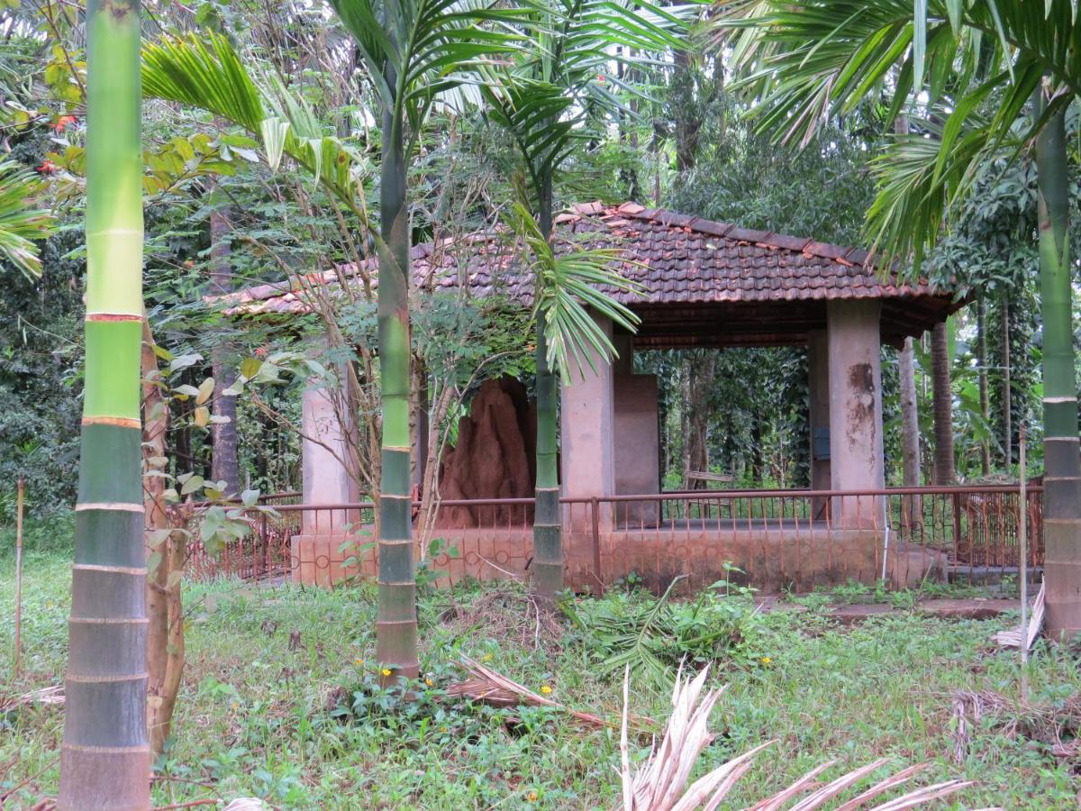 Sugamya Farm Guesthouse Sāgar Exteriör bild