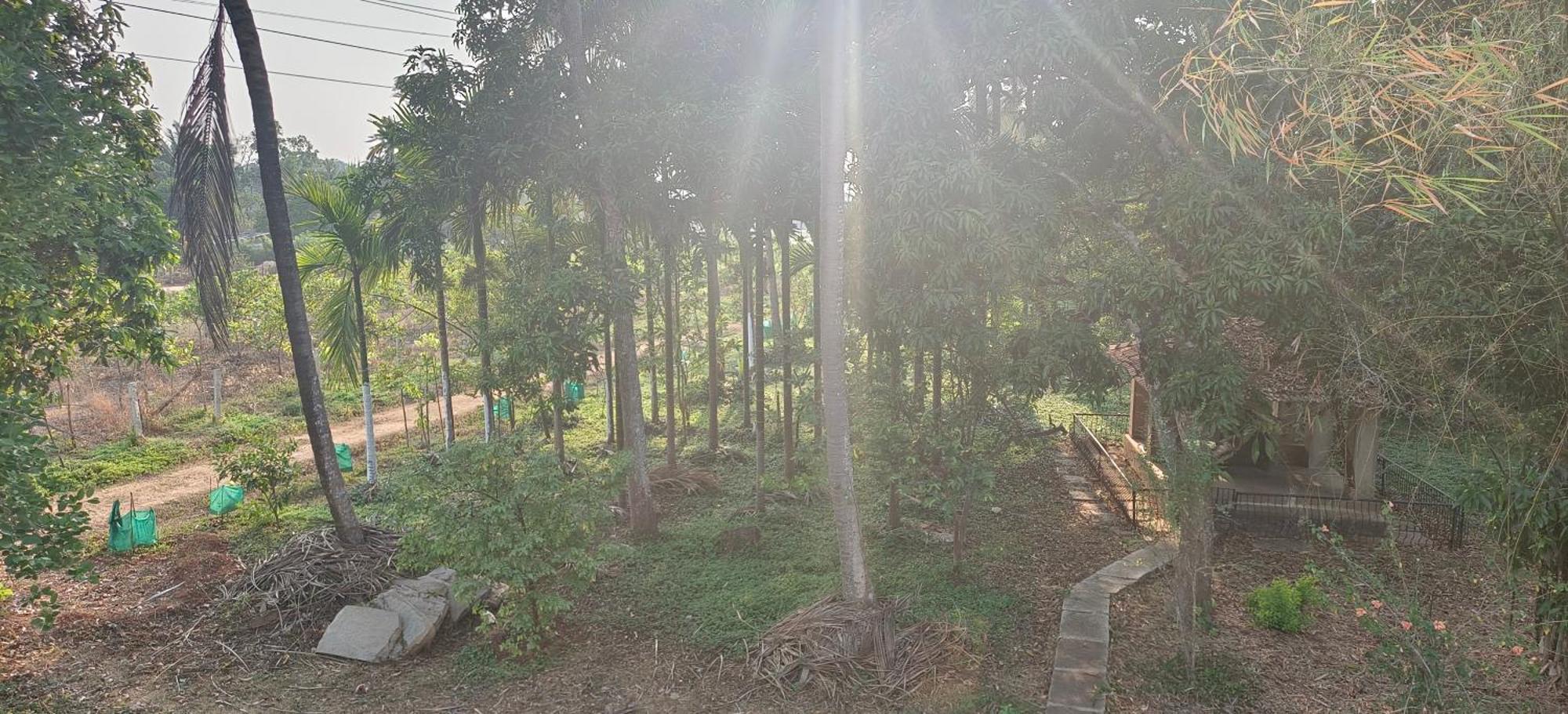 Sugamya Farm Guesthouse Sāgar Rum bild